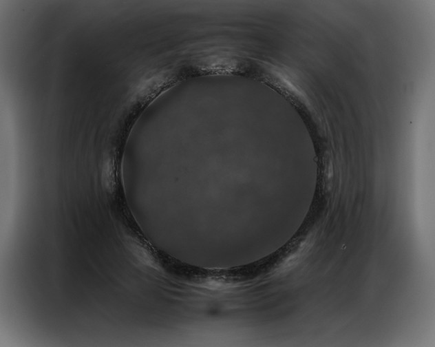 X0000086890641200704161249