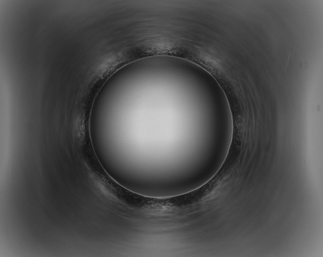 X0000086890642200704161249