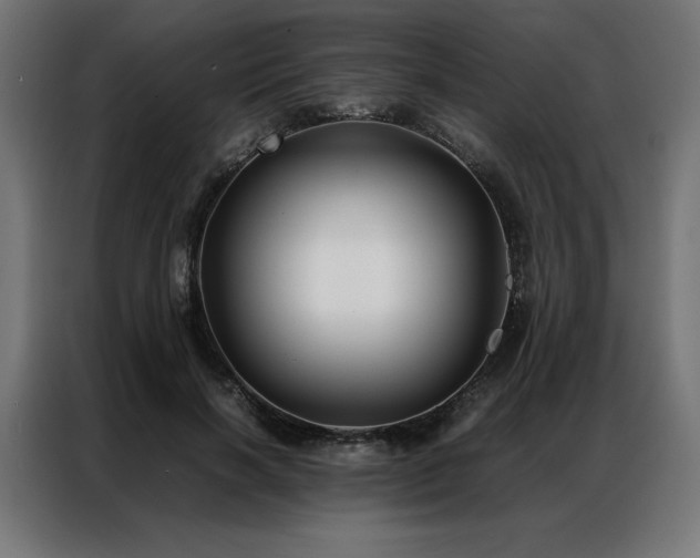 X0000086890646200704161249