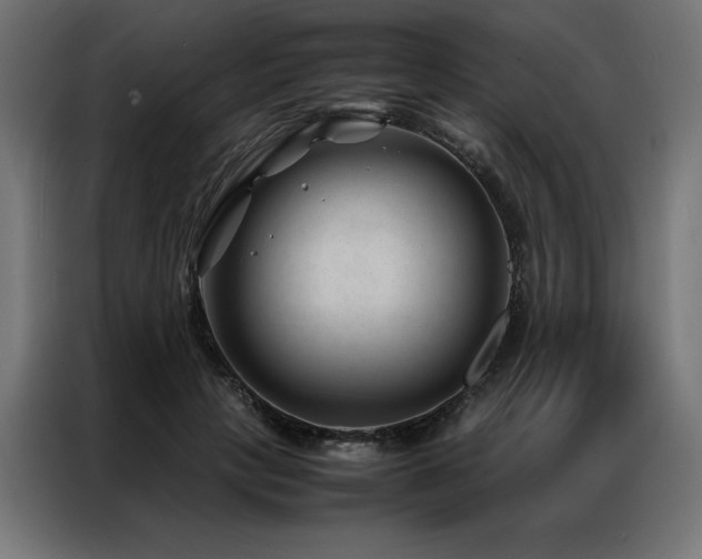 X0000086890649200704161249