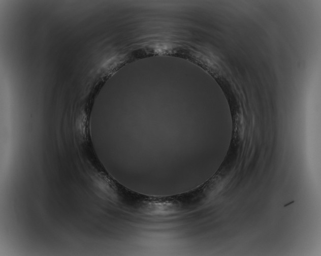 X0000086890650200704161249