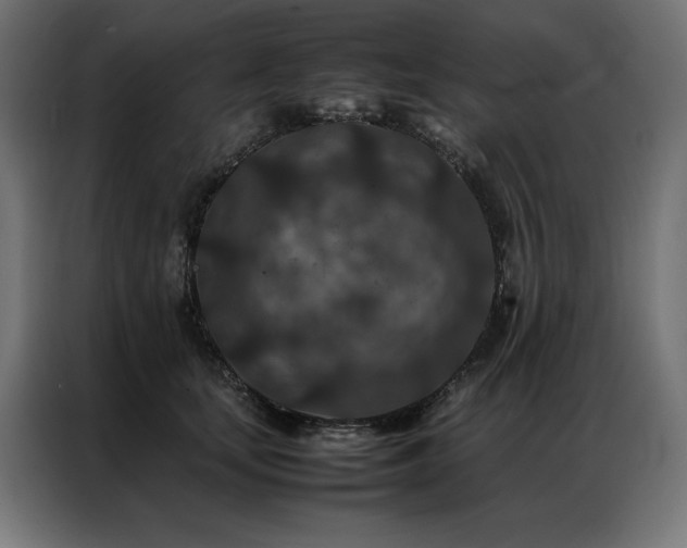 X0000086890659200704161249