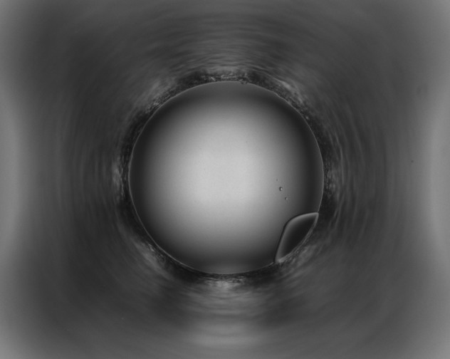 X0000086890662200704161249