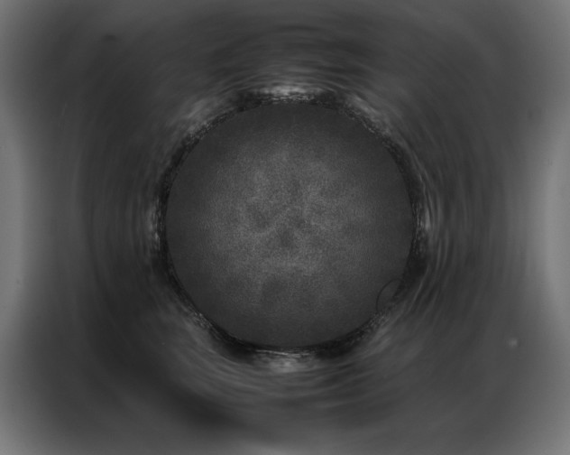 X0000086890663200704161249