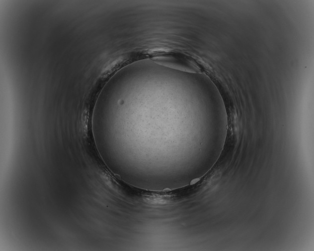 X0000086890664200704161249