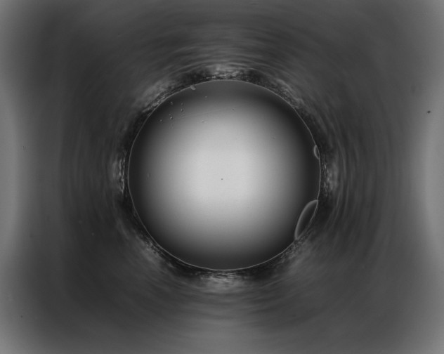 X0000086890666200704161249