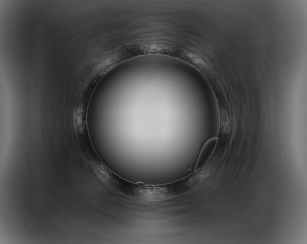 X0000086890670200704161249