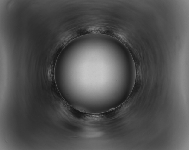 X0000086890671200704161249