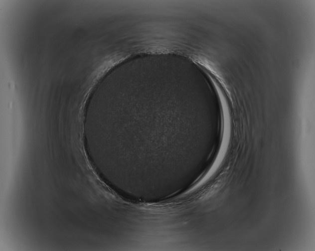 X0000086890673200704161248