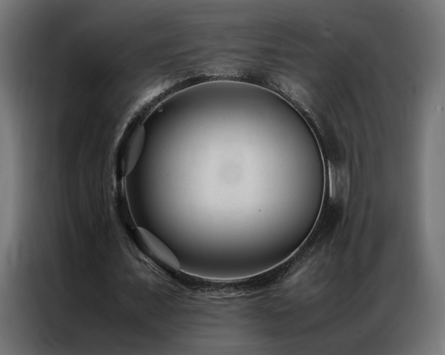 X0000086890675200704161248