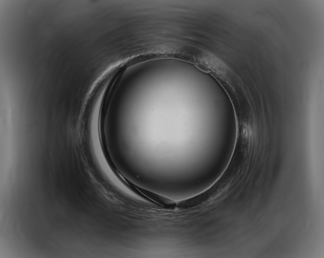 X0000086890676200704161248