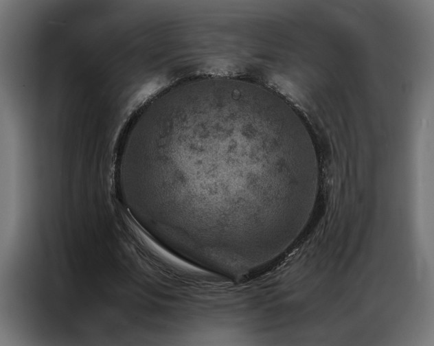 X0000086890679200704161248