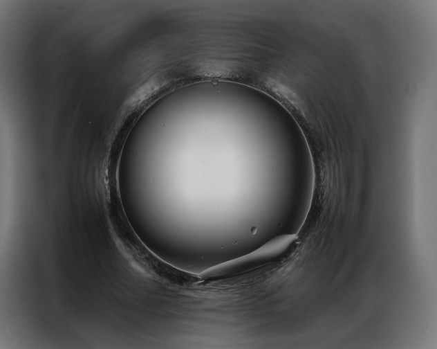 X0000086890682200704161248