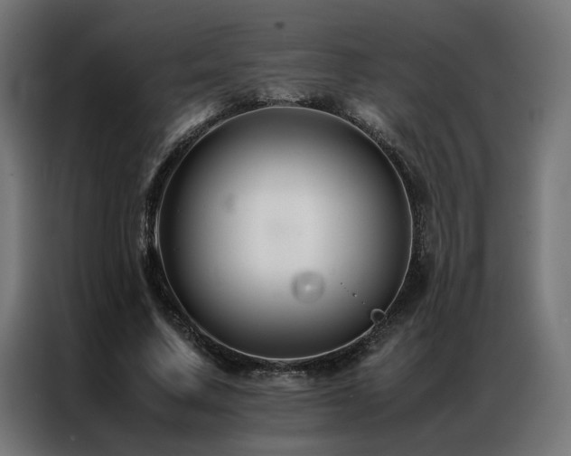 X0000086890683200704161248