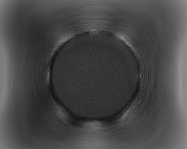 X0000086890685200704161248