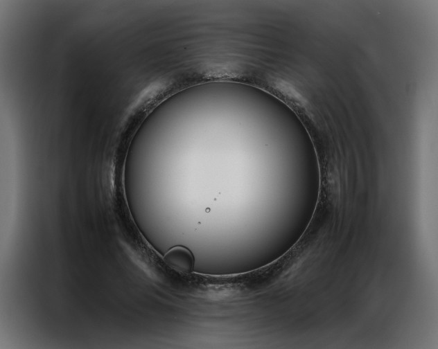 X0000086890686200704161248