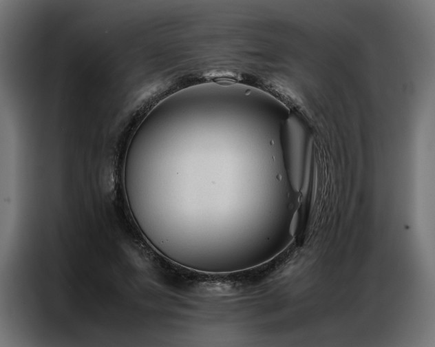 X0000086890687200704161248