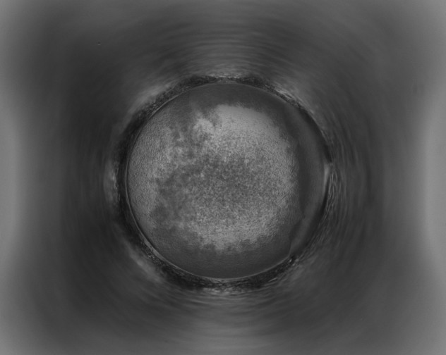 X0000086890688200704161248