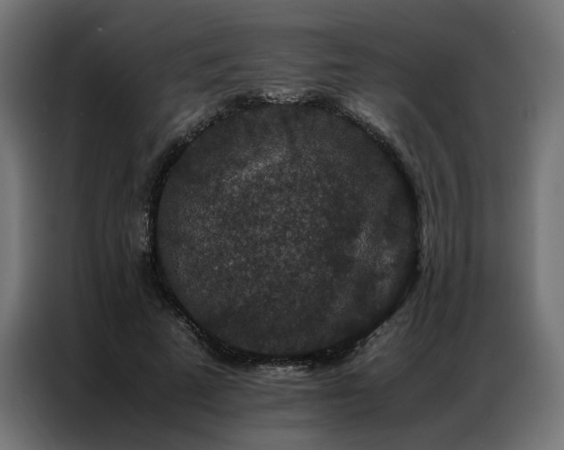 X0000086890689200704161248