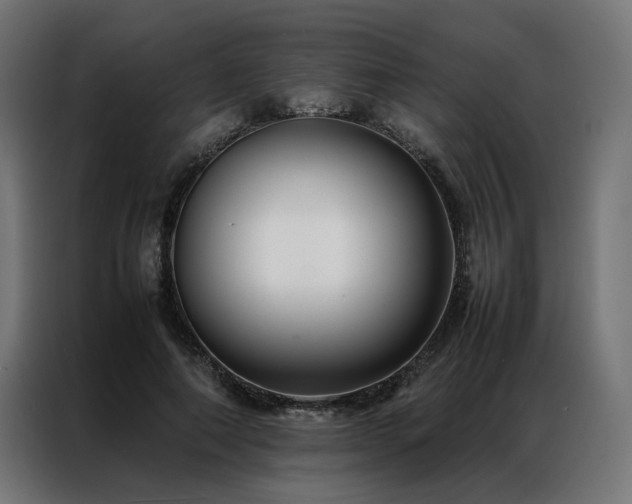 X0000086890690200704161248