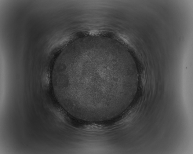 X0000086890691200704161248