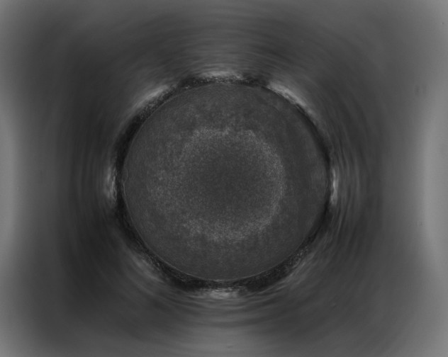 X0000086890692200704161248