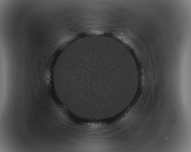 X0000086890693200704161248