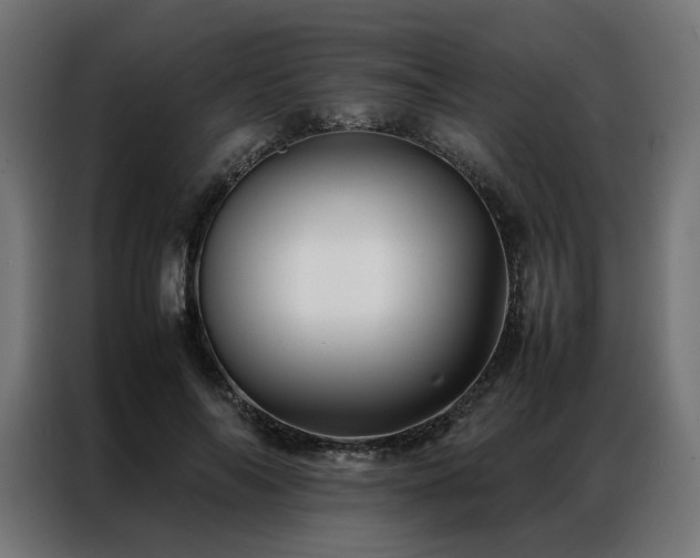 X0000086890694200704161248