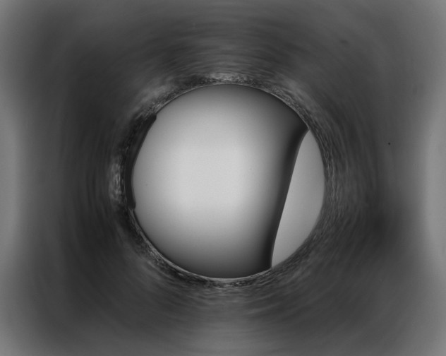 X0000086890696200704161248