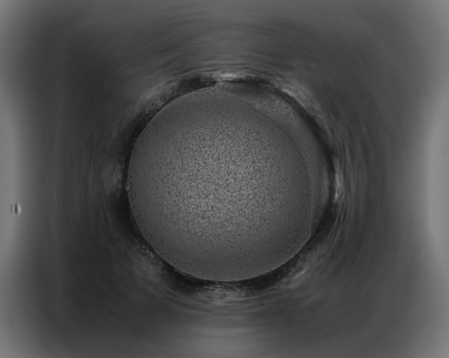 X0000086890697200704161248