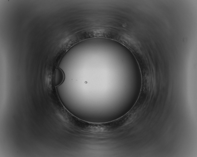 X0000086890698200704161248