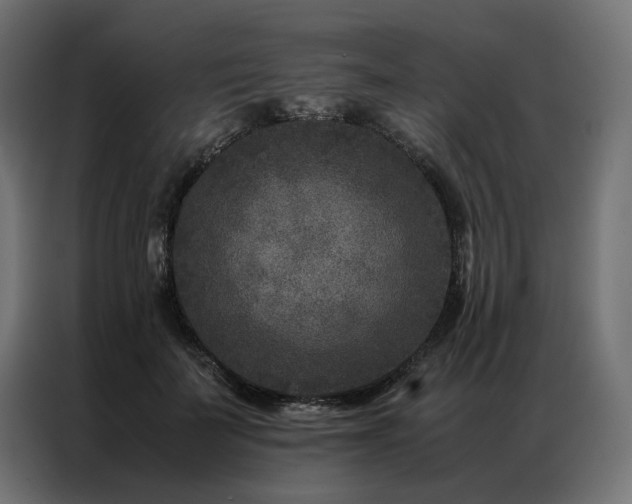 X0000086890699200704161248