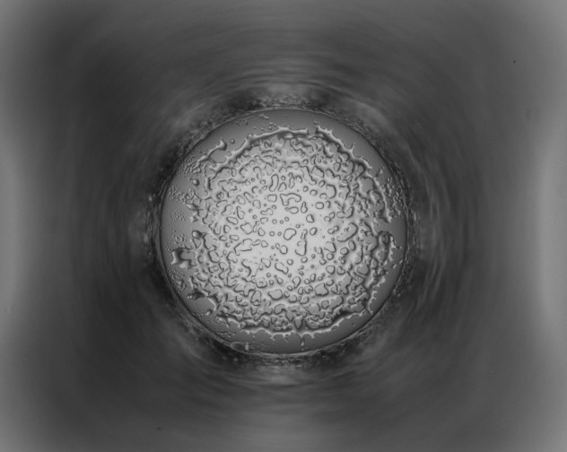 X0000086890701200704161248