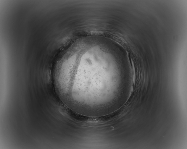 X0000086890704200704161248