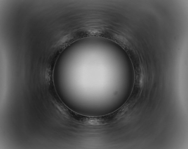 X0000086890710200704161248