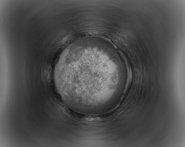 X0000086890712200704161248