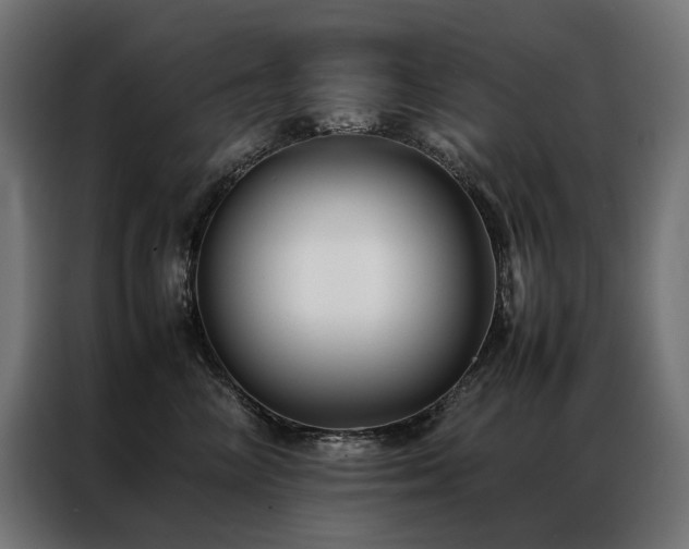 X0000086890714200704161248