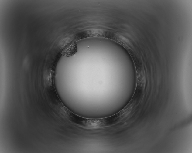 X0000086890717200704161248