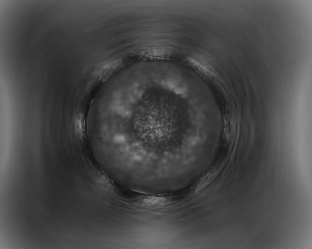 X0000086890718200704161247