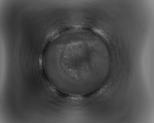 X0000086890720200704161247