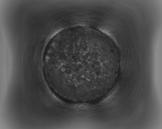 X0000086890721200704161247