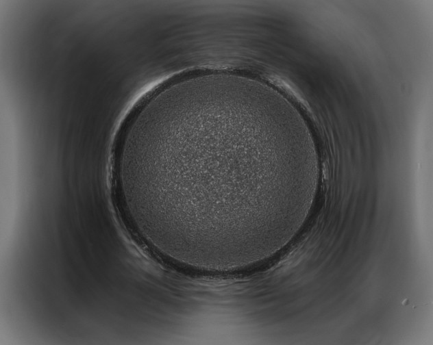 X0000086890724200704161247