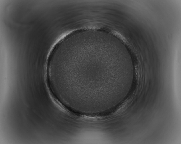 X0000086890726200704161247