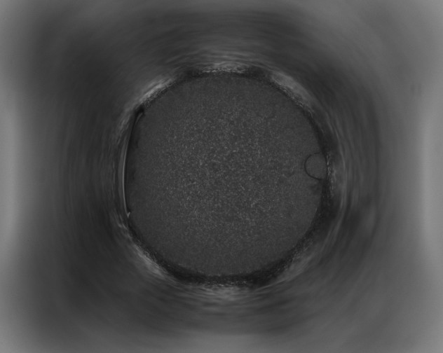 X0000086890729200704161247