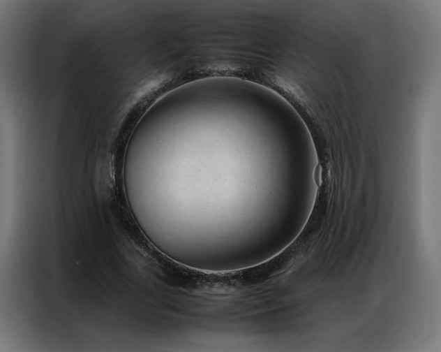 X0000086890731200704161247