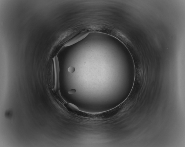 X0000086890734200704161247