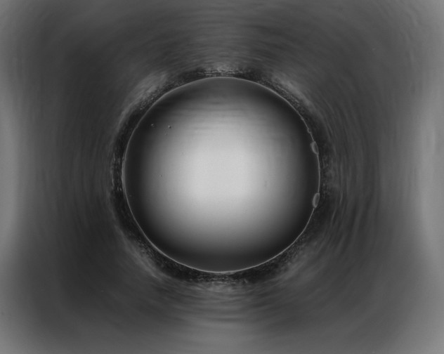 X0000086890738200704161247