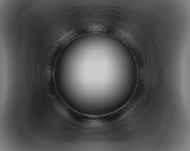 X0000086890741200704161247