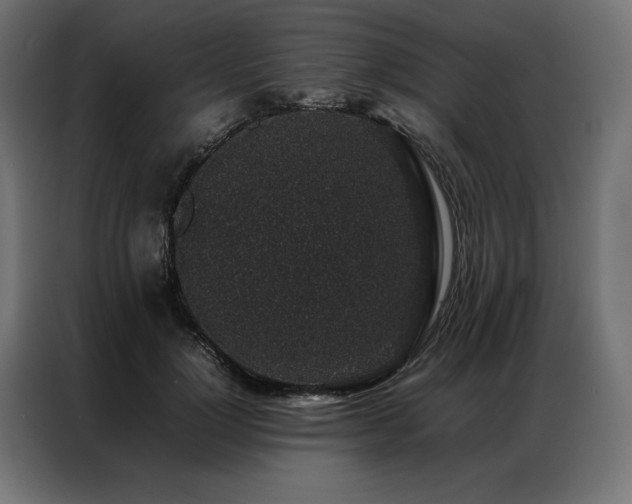 X0000086890748200704161247