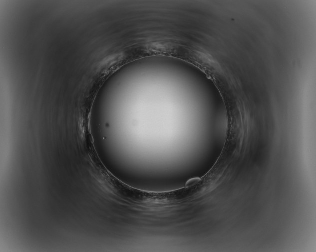 X0000086890749200704161247